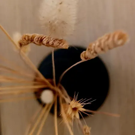 Nisaki & 3* Méthana