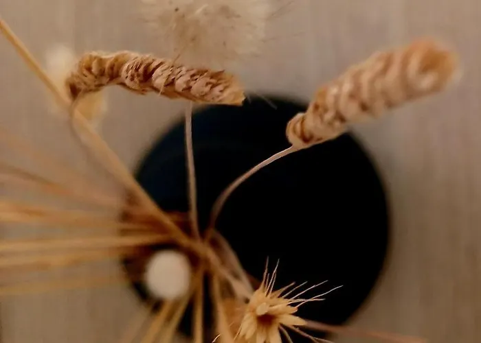 Nisaki & 3* Méthana