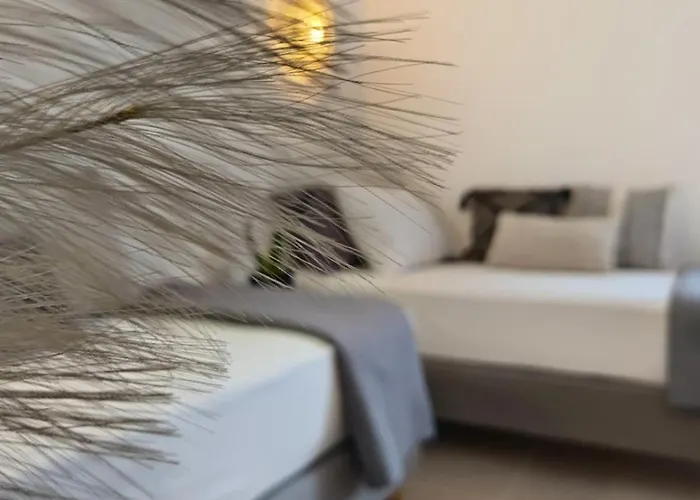 Appart hôtel Nisaki & 3*